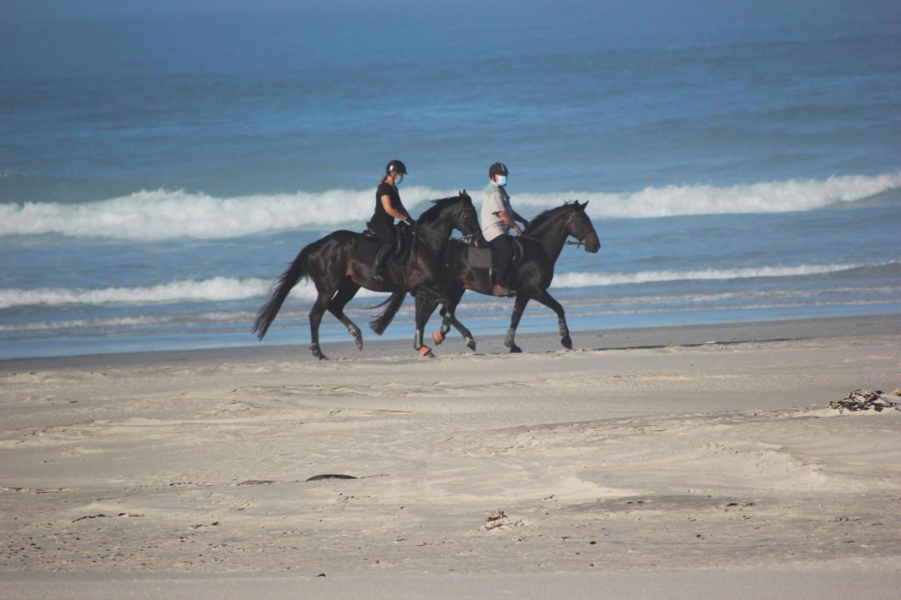14 Penguin Place, Melkbosstrand Ngoại thất bức ảnh